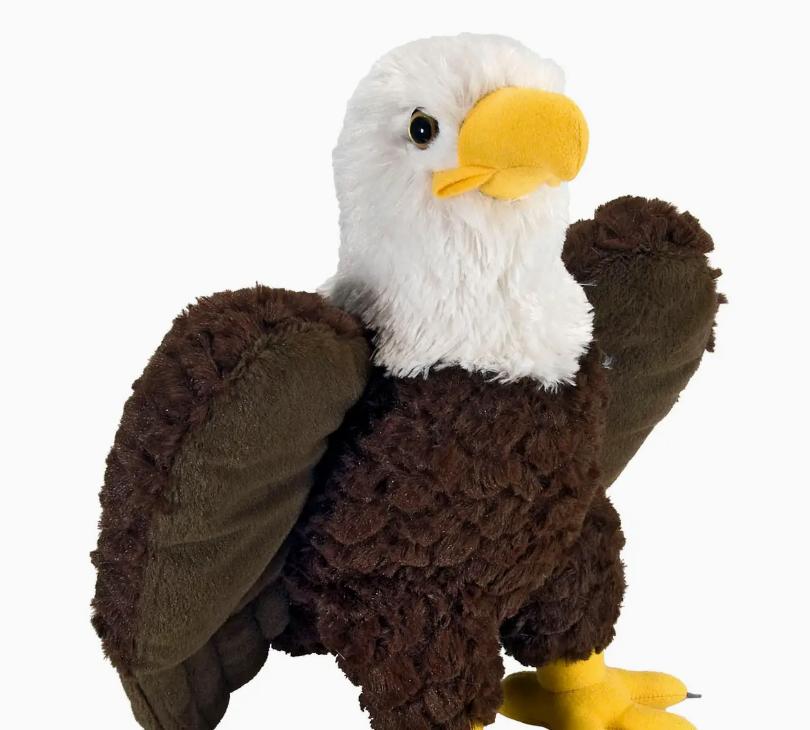 Bald Eagle 12"