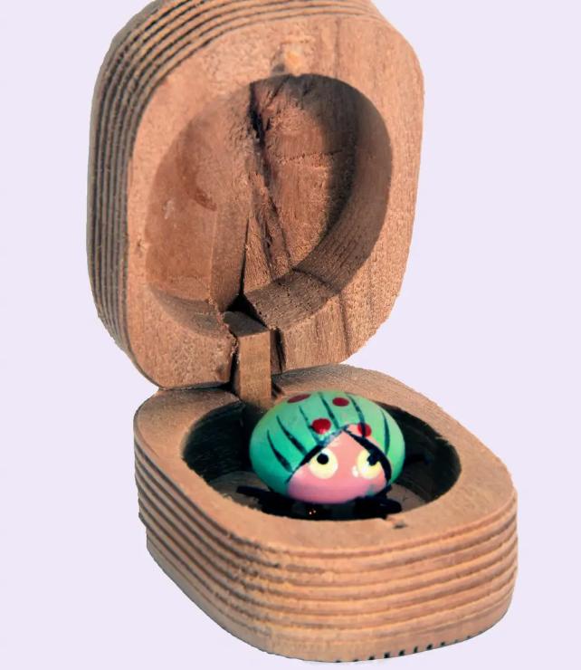 Bug in a Box