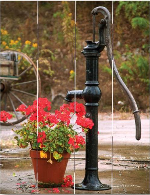 Watering Flowers Pallet Art
